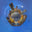 Little Big World Fine Art logo
